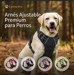 Arnes ajustable