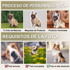 Cojín personalizado