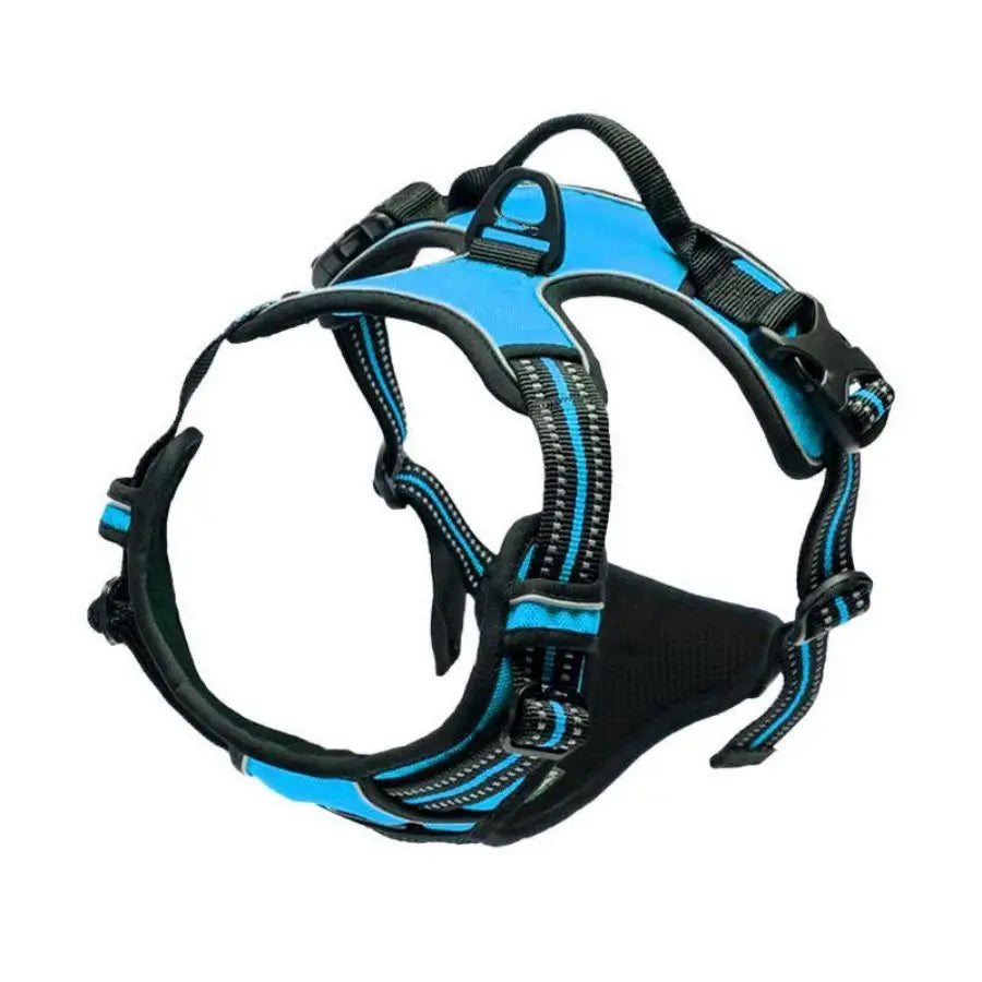Arnes ajustable