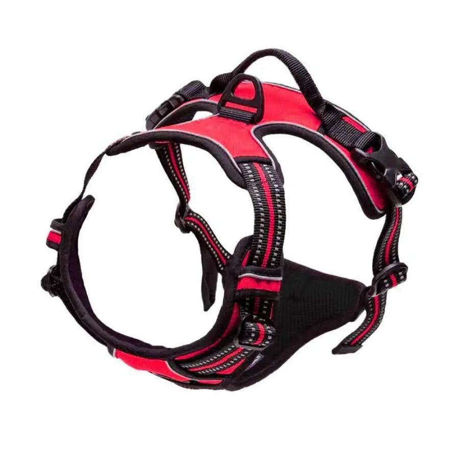 Arnes ajustable