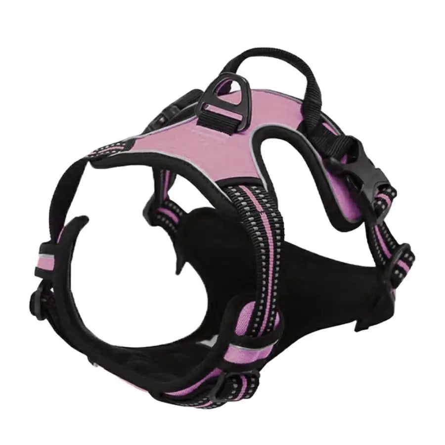 Arnes ajustable
