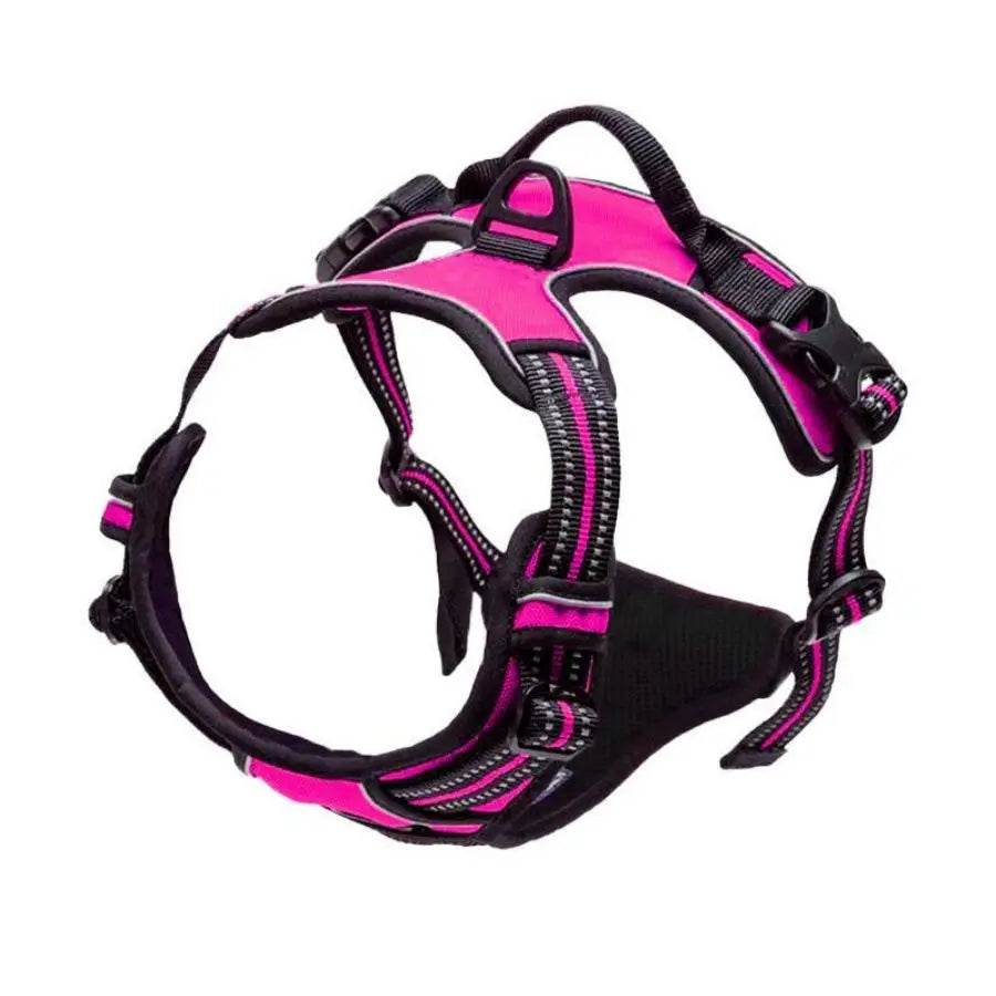 Arnes ajustable