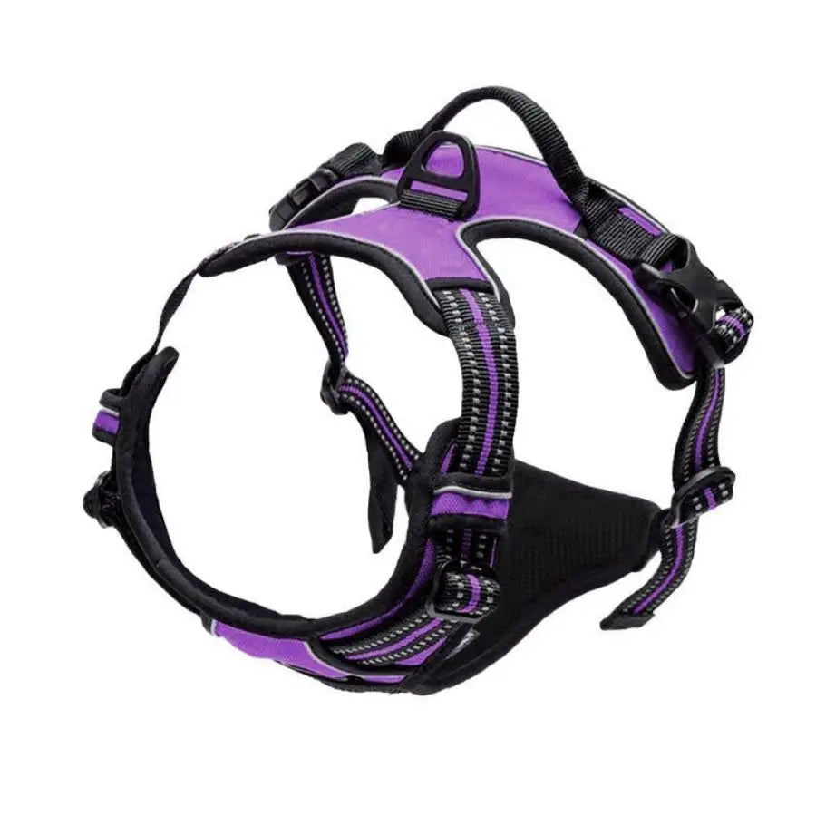Arnes ajustable