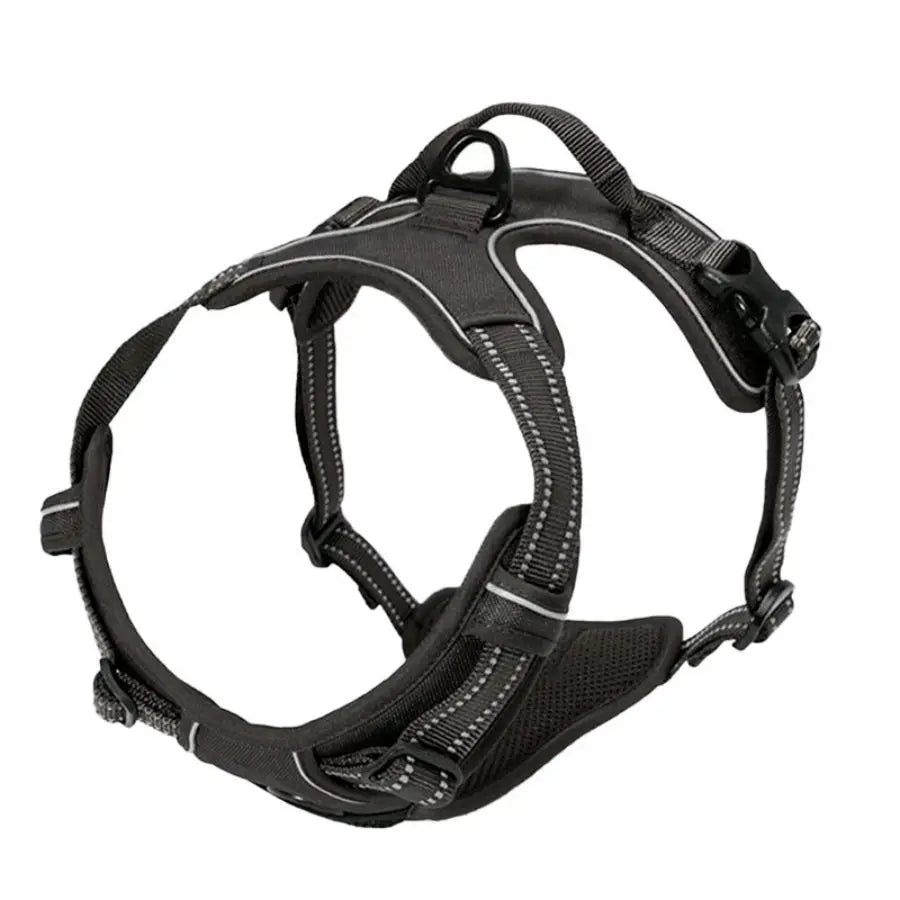 Arnes ajustable