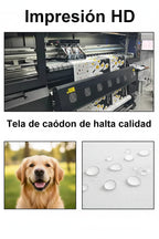 Poster personalizado