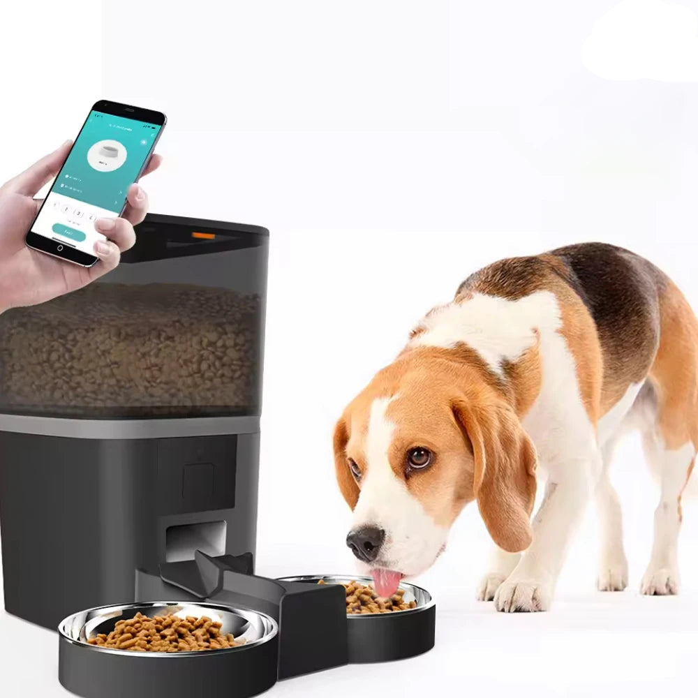 Dispensador de comida Automtatico con Camara