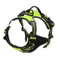 Arnes ajustable