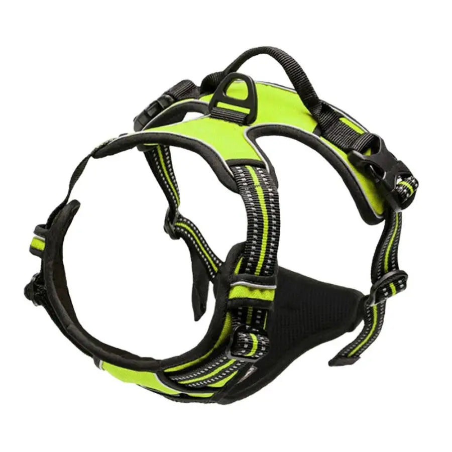 Arnes ajustable