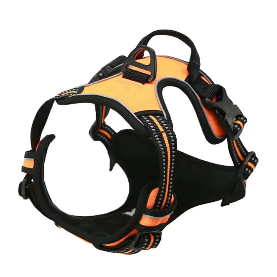 Arnes ajustable