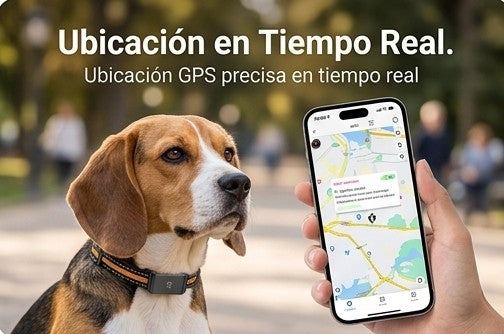 Collar con GPS