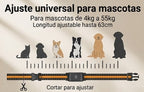 Collar con GPS